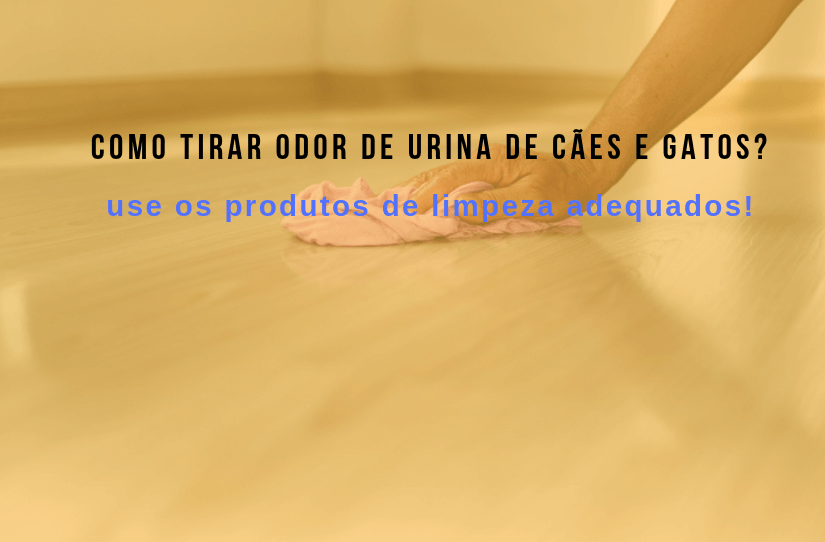 Como tirar odor de urina dos pets: confira os produtos de limpeza certos!