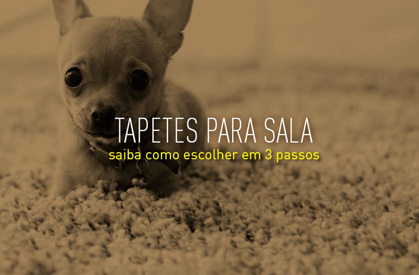 Saiba como escolher os tapetes para sala de estar em 3 passos