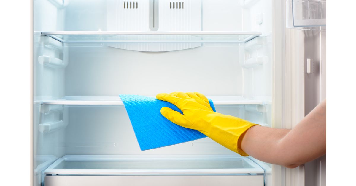 Você sabe como funciona uma geladeira? Os cuidados para aumentar seu tempo de vida