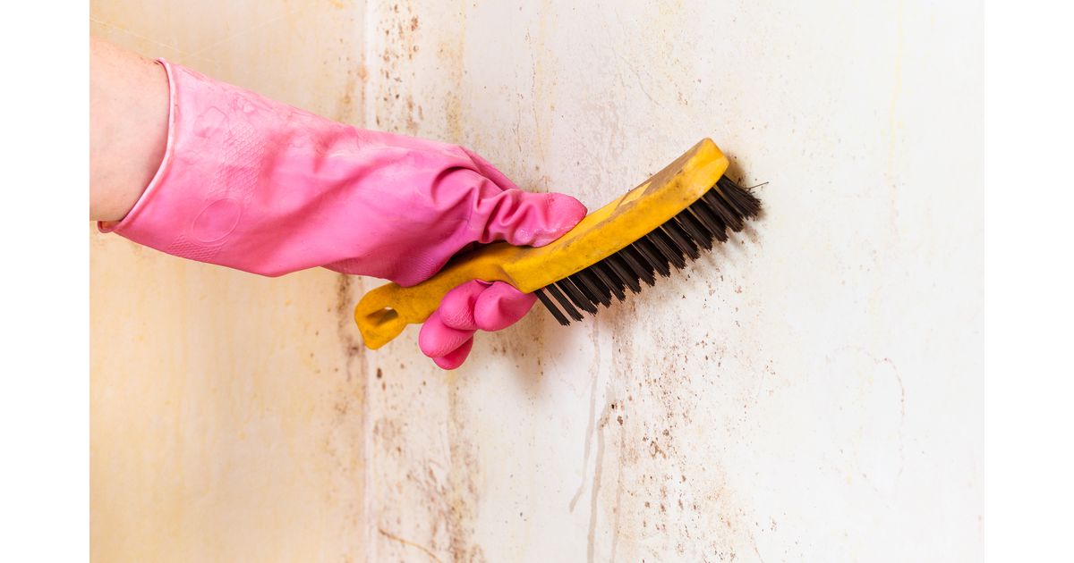 6 superfícies mais suscetíveis a mofo e como se livrar das manchas de bolor