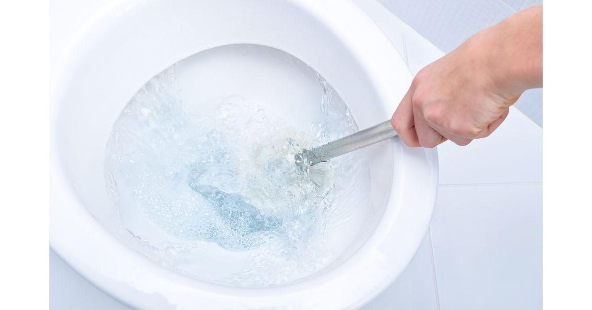 Aprenda a limpar o desentupidor e a escova sanitária e mantenha o seu banheiro sempre higienizado