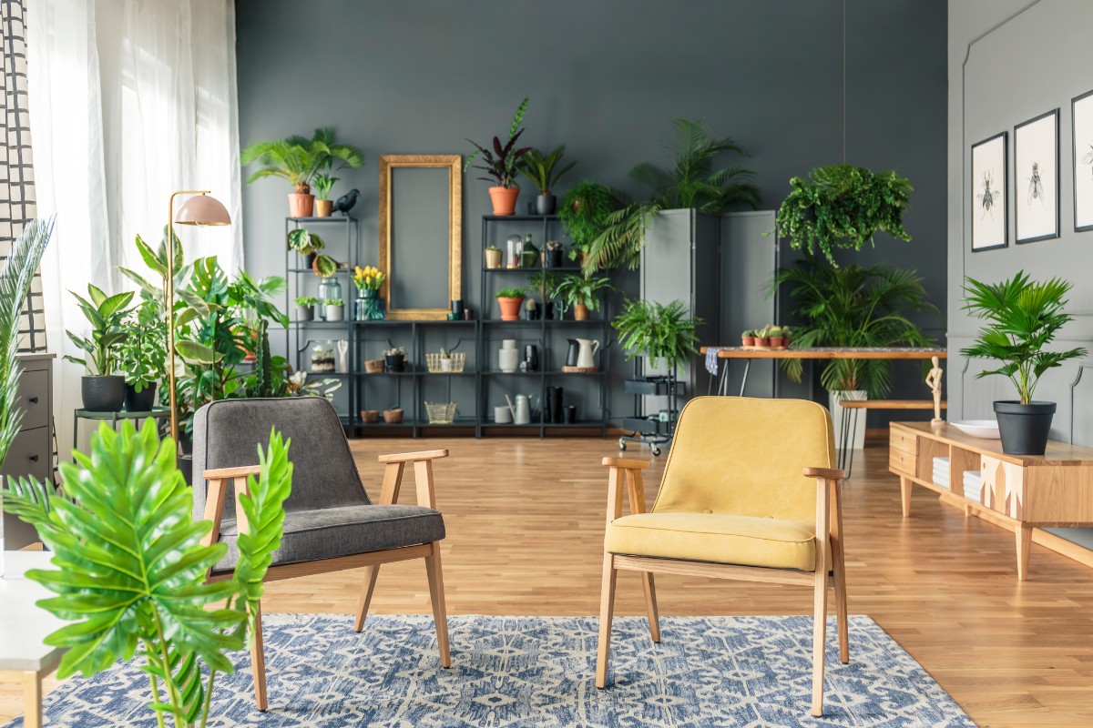 O que é Urban Jungle e como adotar esse estilo na sua casa?