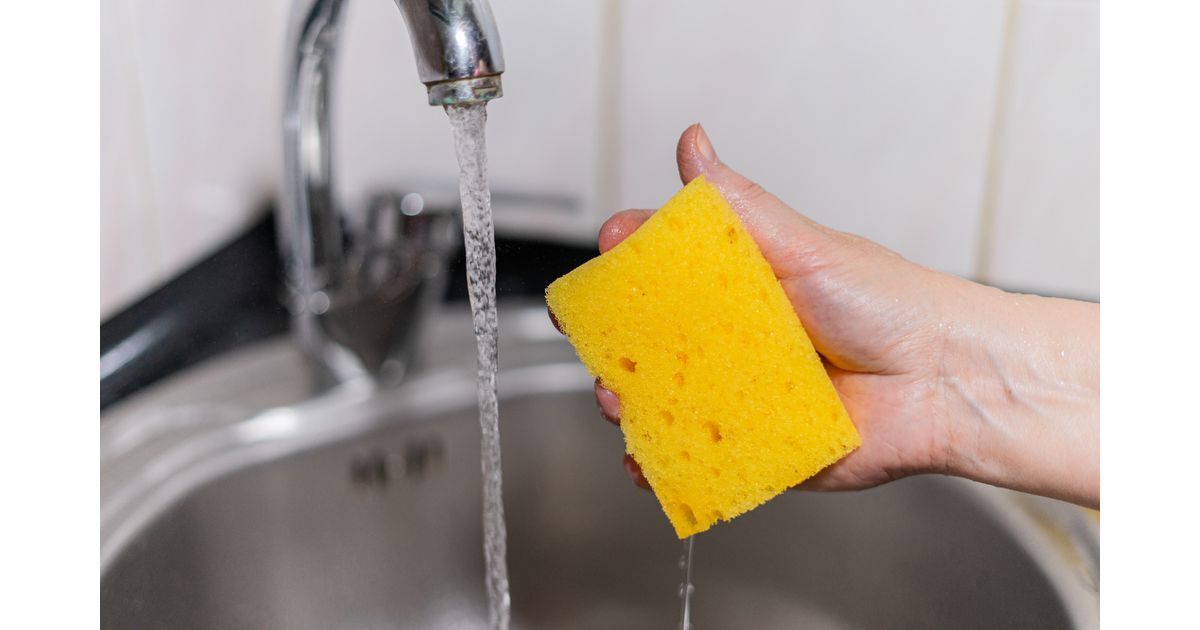 Como limpar esponja de cozinha