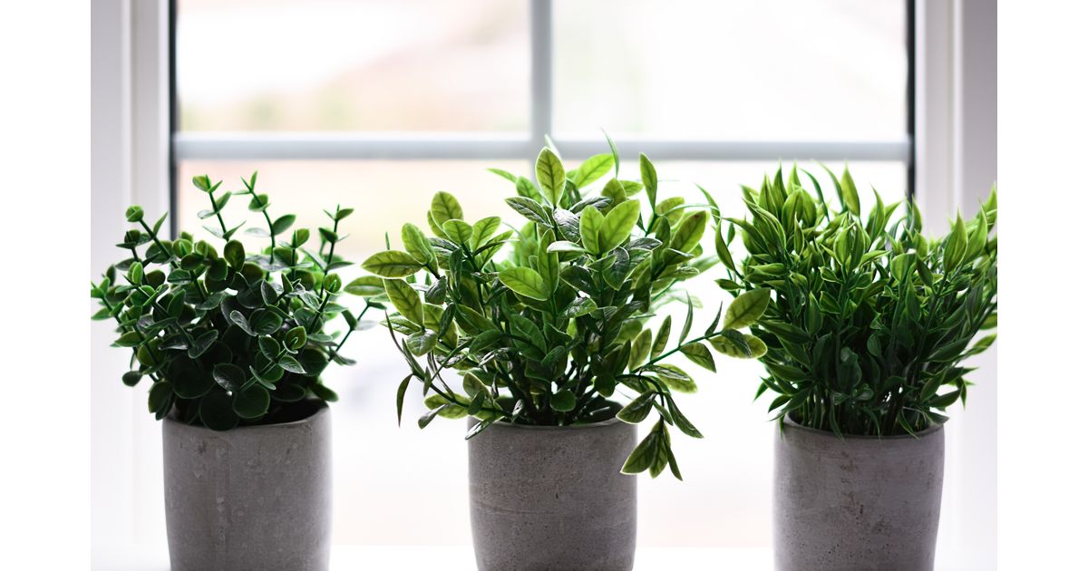 Como limpar plantas artificiais